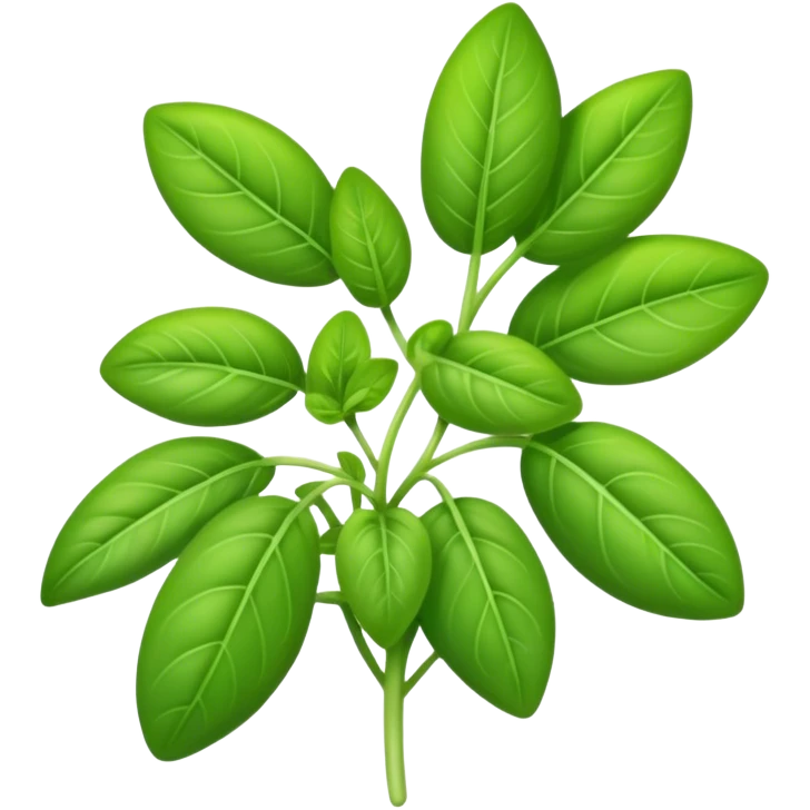 Marjoram herb  emoji
