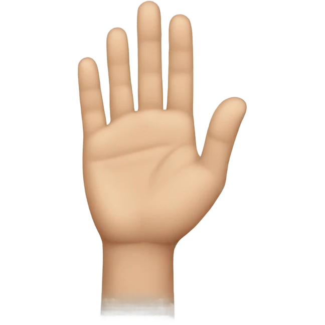 hand to hand emoji