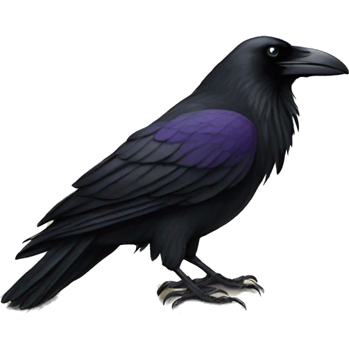 Raven on book  emoji