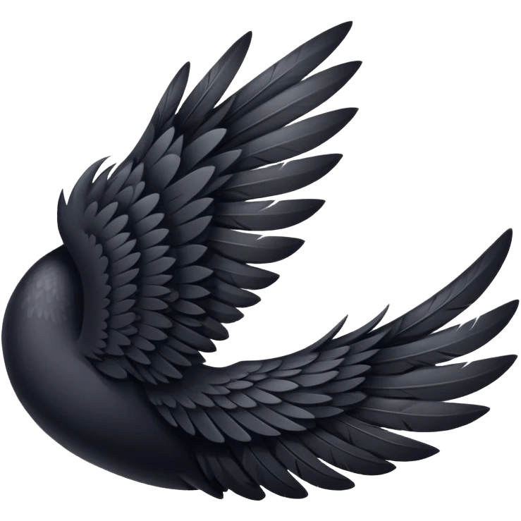 Black wing  emoji
