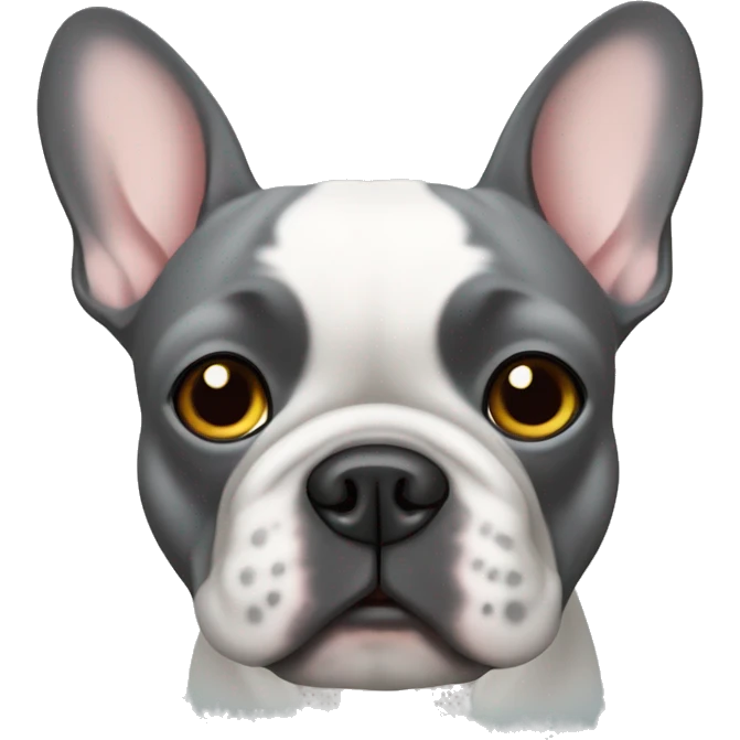 Gray French bulldog in a Jewish yamama emoji