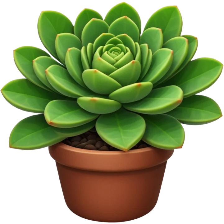 crassula emoji