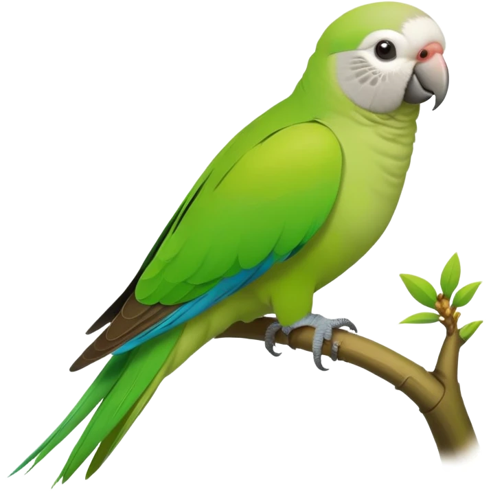 Monk parakeet emoji