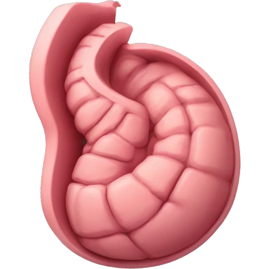 “A detailed image of a human stomach, showing its curved shape, inner folds, and a natural pinkish color.” emoji
