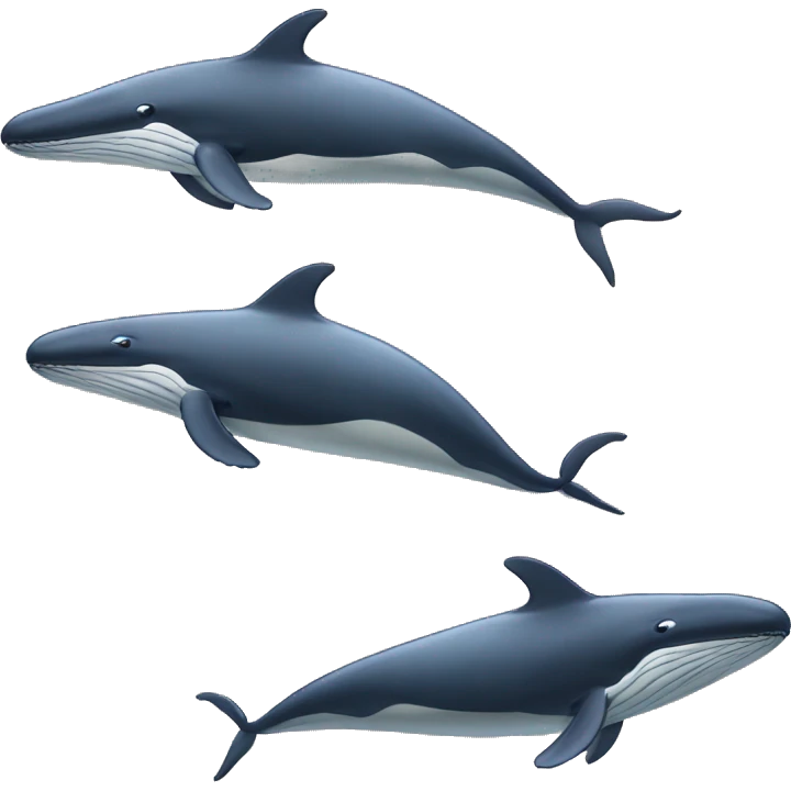 humpback whale spy hopping emoji