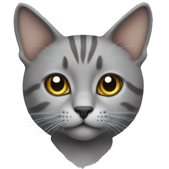 Cat grey bkh  emoji