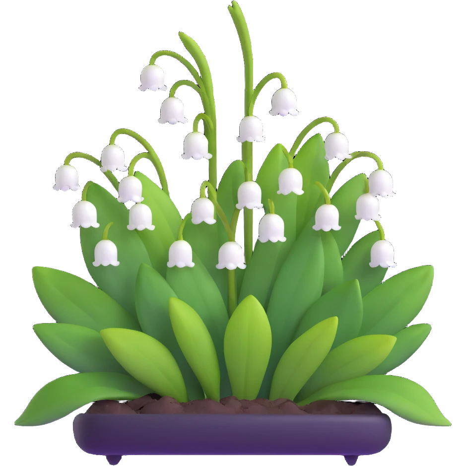 Realistic lily of the valley with correct leaf structure - large elliptical leaves from base, with center flower stem bearing small white bell flowers hanging in a row emoji