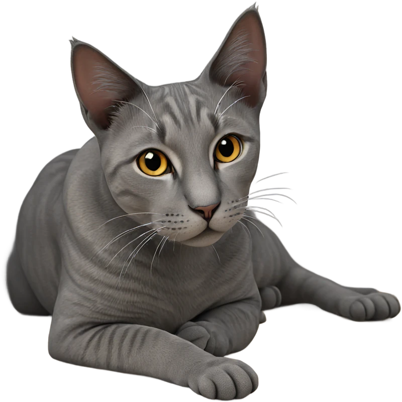 realistic cat portrait close-up emoji