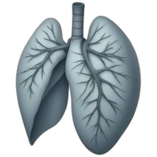 lung  emoji