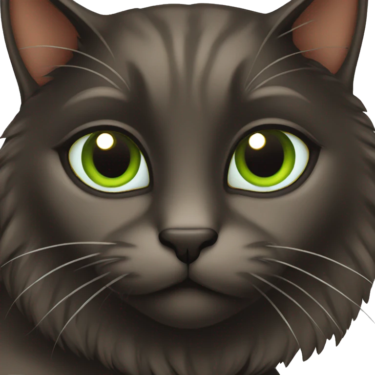 Black and Brown cat with Green eyes  emoji