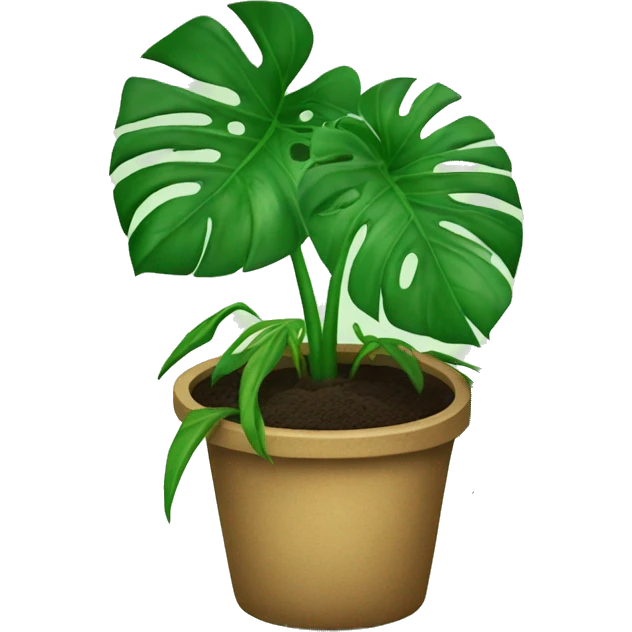 Monstera plant in soil emoji