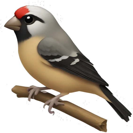 Society finch  emoji
