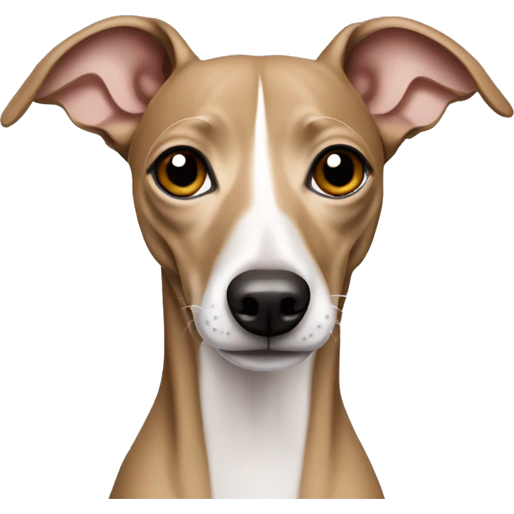 Tan Italian greyhound emoji