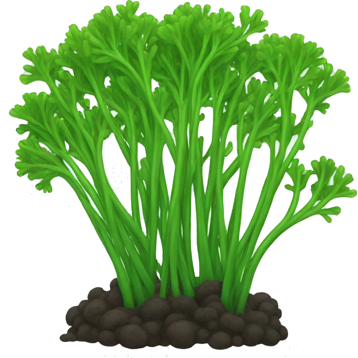 Seaweed emoji