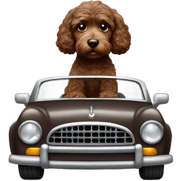 Dark brown Cockapoo driving a car emoji