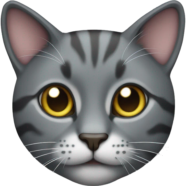 cat emoji