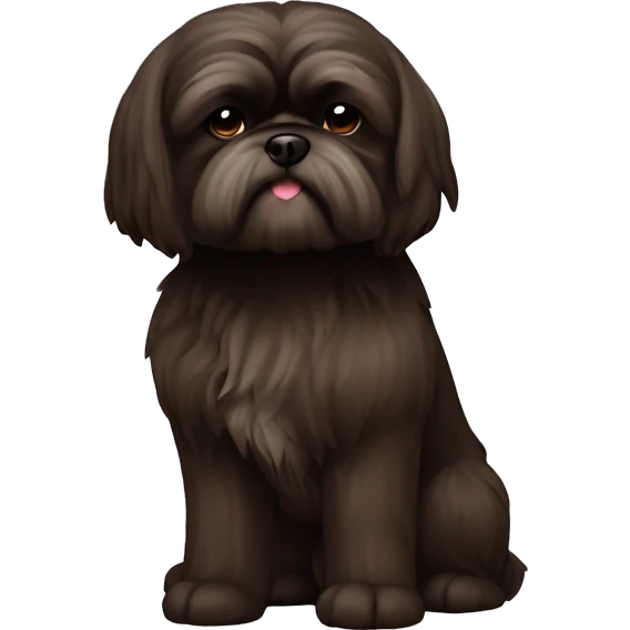 Dark brown shih tuz dog no white  emoji
