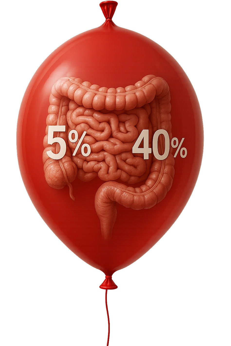 intestino umano anatomico chiuso in un palloncino rosso con la scritta 5% e 40% dentro insieme all'intestino, iperrealistico 4k emoji