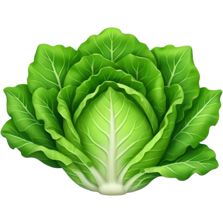 lettuce vegetable emoji