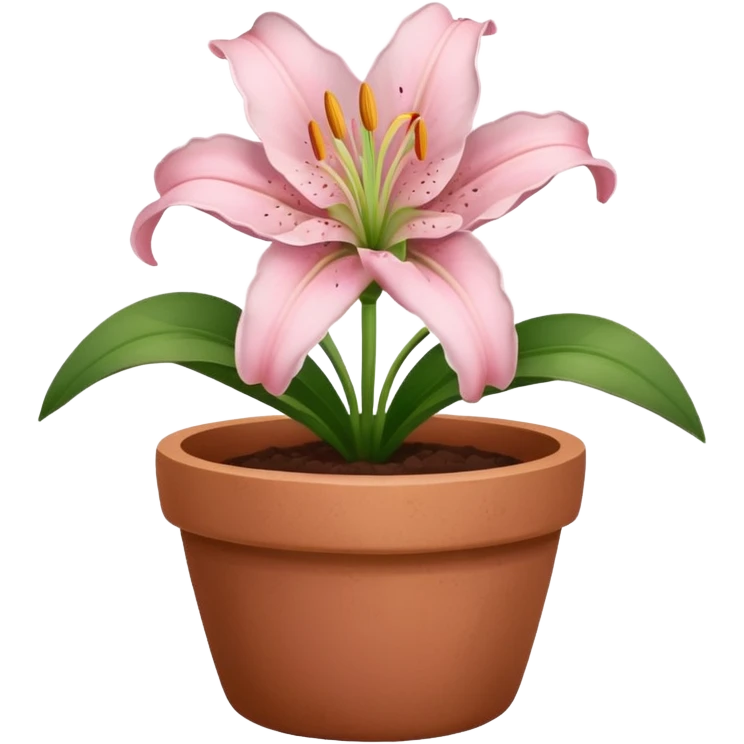 light pink lily in a clay pot emoji