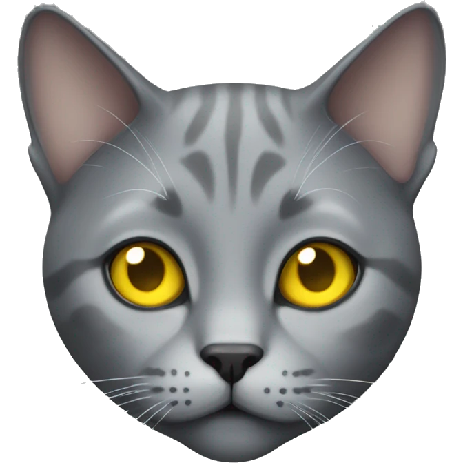 realistic grey cat with yellow eyes  emoji