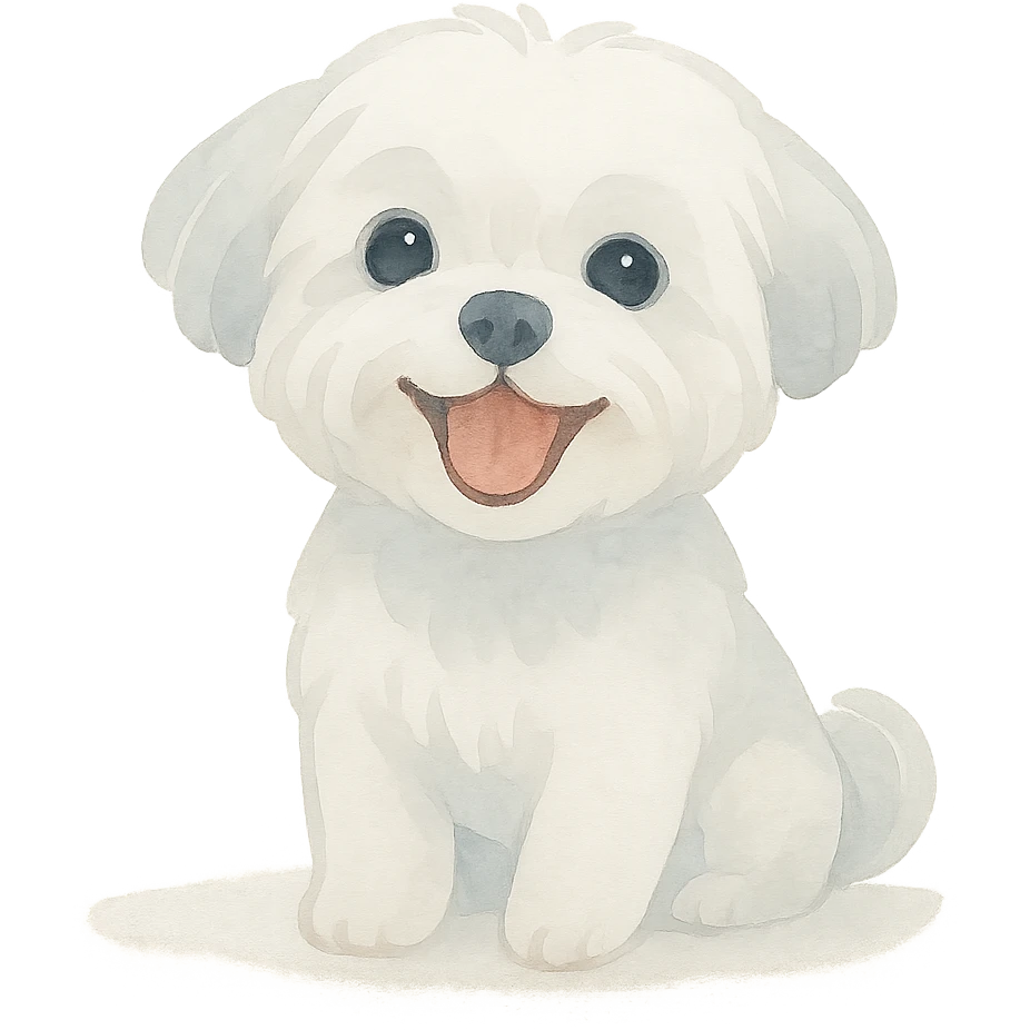 cute Maltese dog laughing, fluffy white fur, big eyes, playful expression, watercolor style emoji
