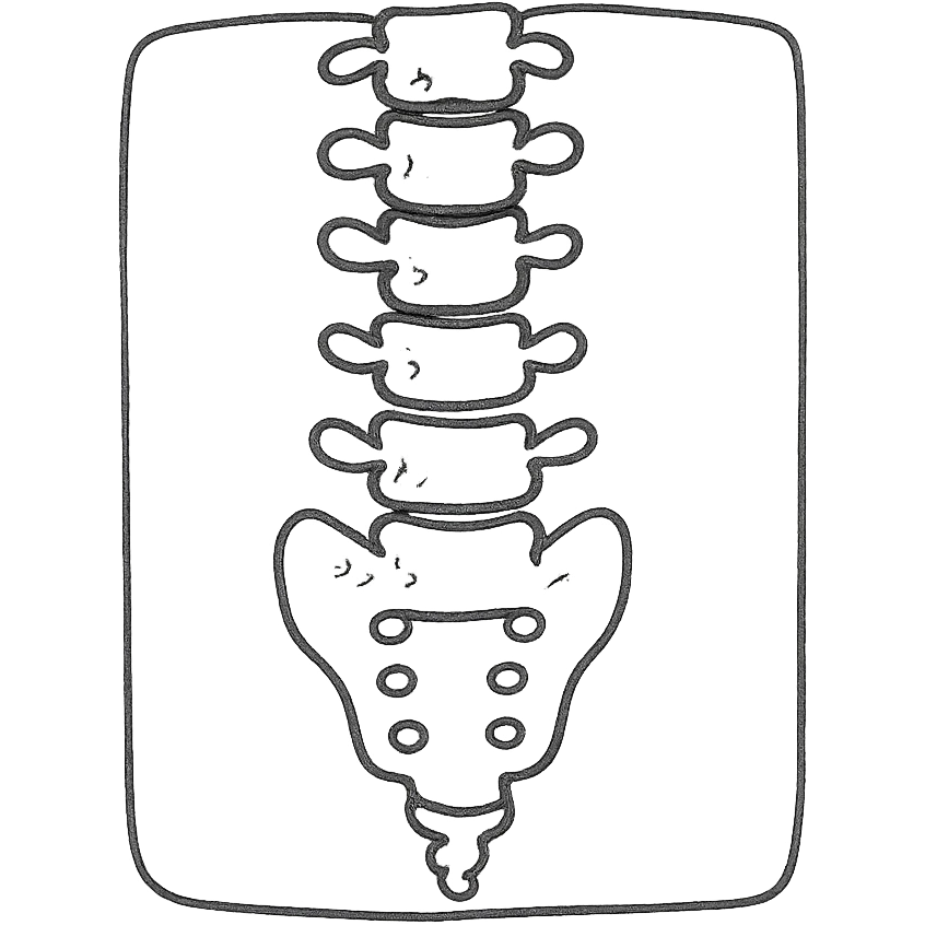 hand-drawn outlined human spine icon, X-ray style, no fill emoji