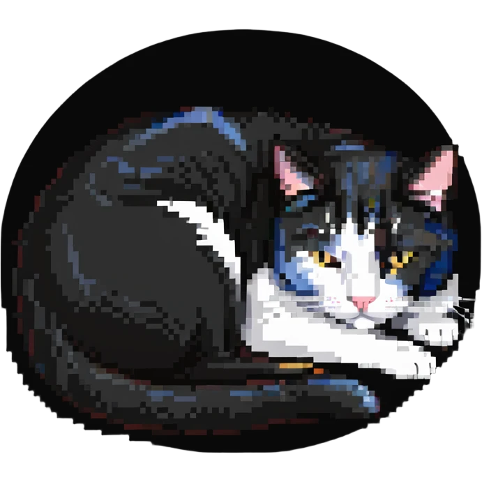 tuxedo cat curled up sleeping emoji