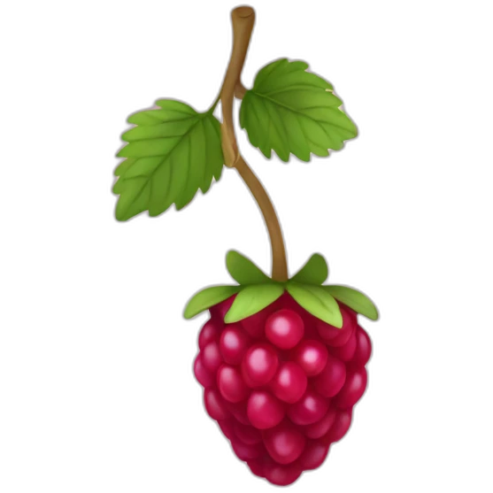 Framboise  emoji