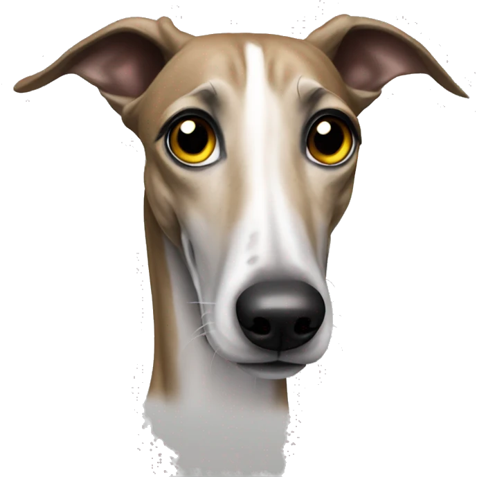 galgo  emoji