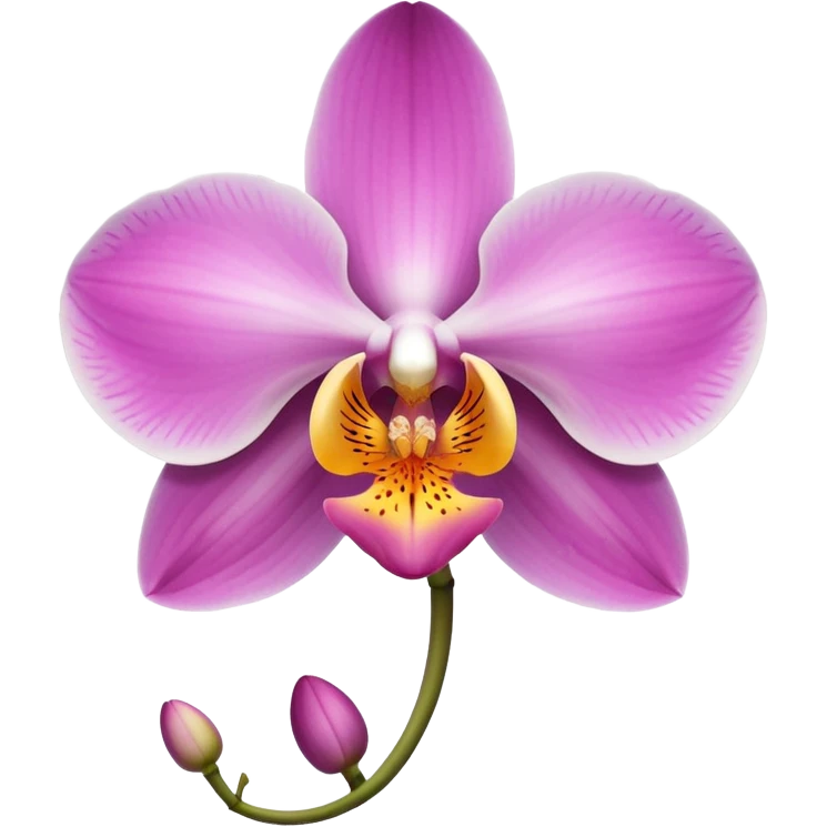 Orchid flower emoji emoji