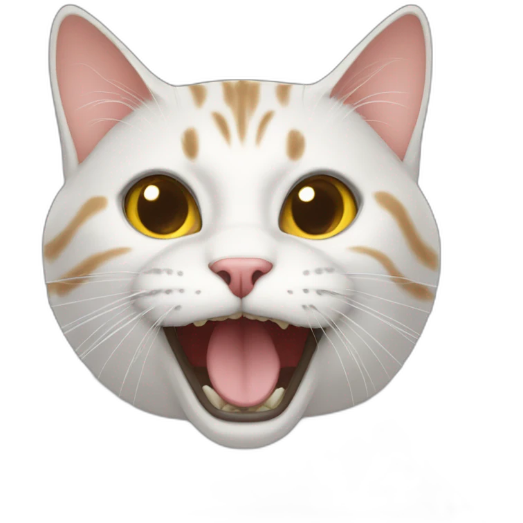 insane cat emoji