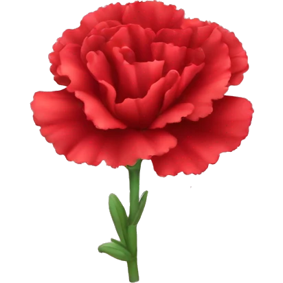 red Carnation flower emoji