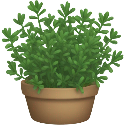 thyme emoji
