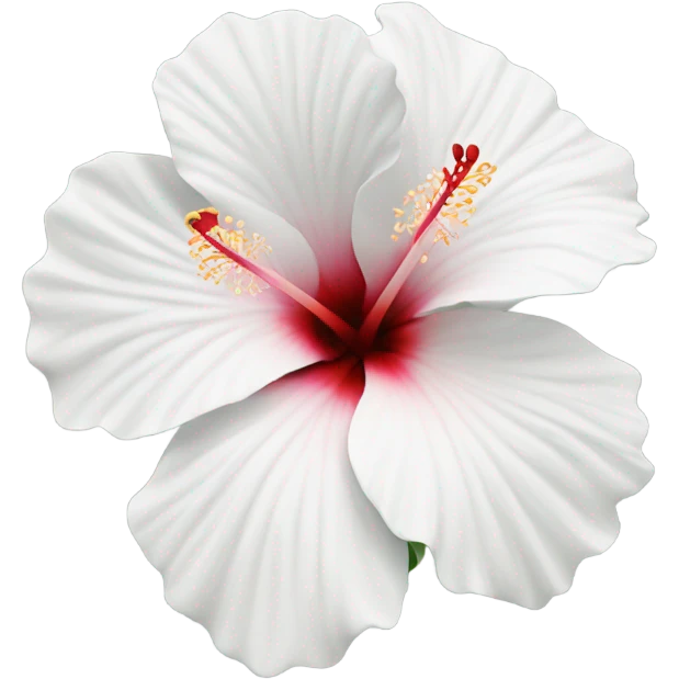 White hibiscus flower emoji
