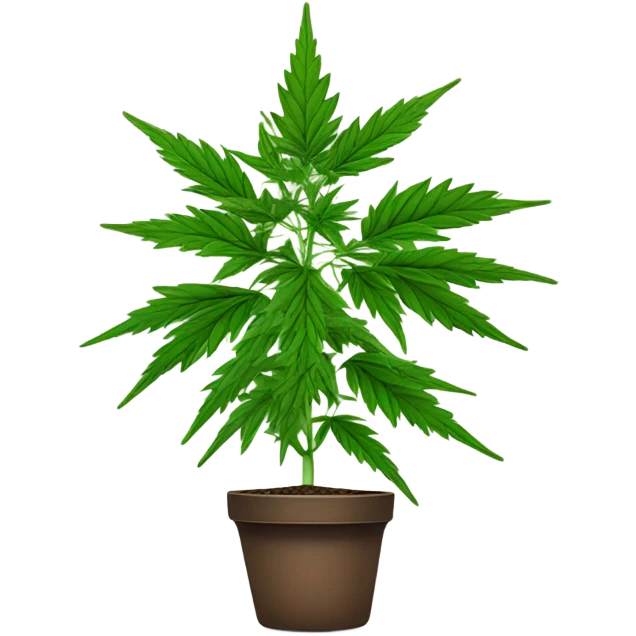 Potted Indica cute  emoji