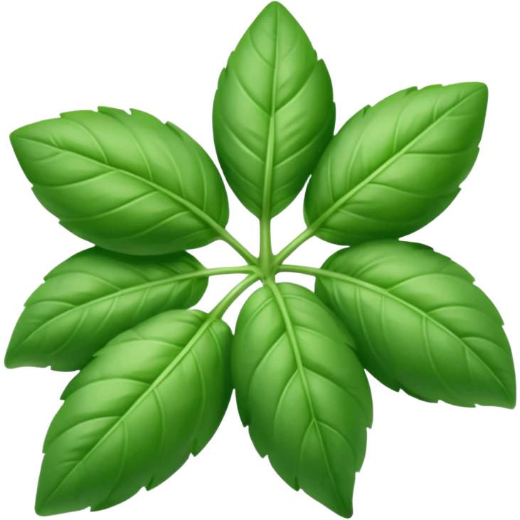 basil emoji