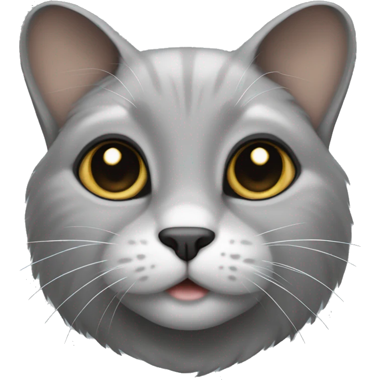 Grey lop-eared cat emoji