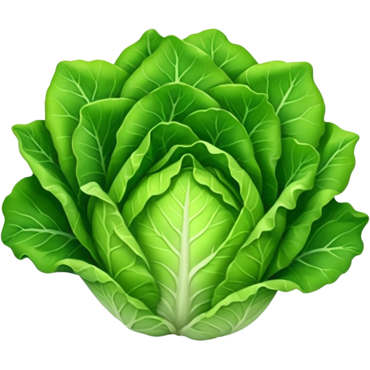 lettuce vegetable emoji