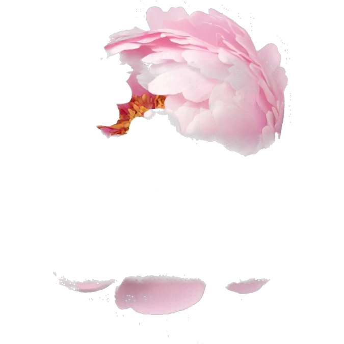 baby pink peony bouquet  emoji