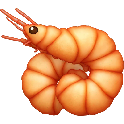 Fried shrimp  emoji