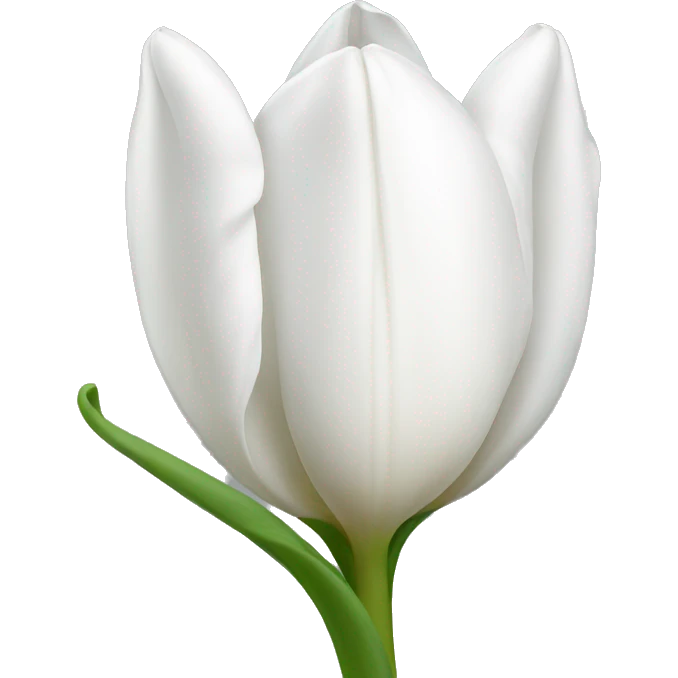 White tulip  emoji