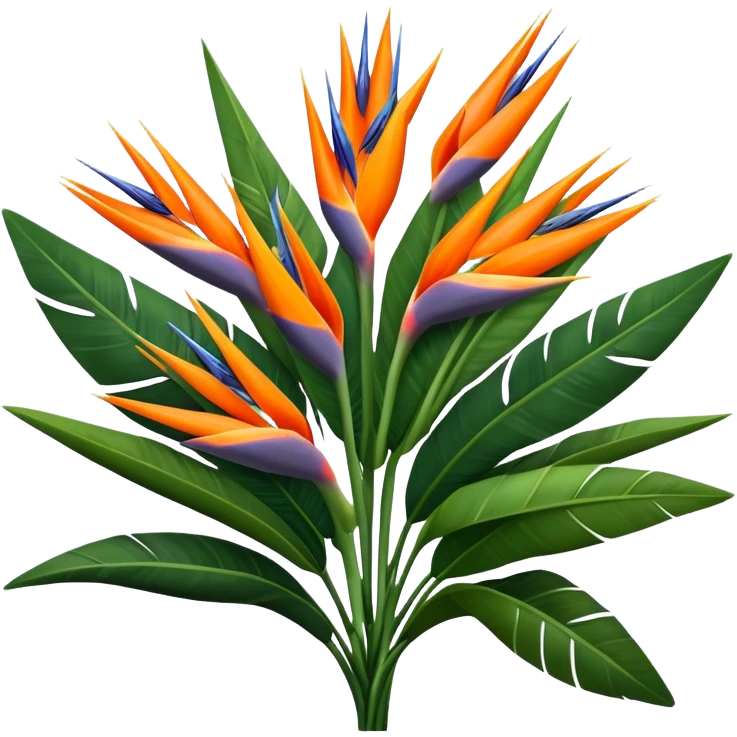 luxuriant, big bouquet Strelitzia Reginae, stem, leaf emoji