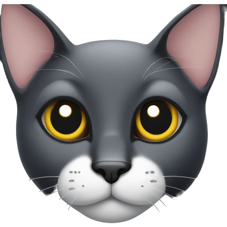 Black cat sitting with white Spot  emoji