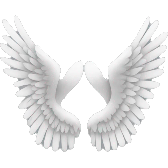 Two wings emoji