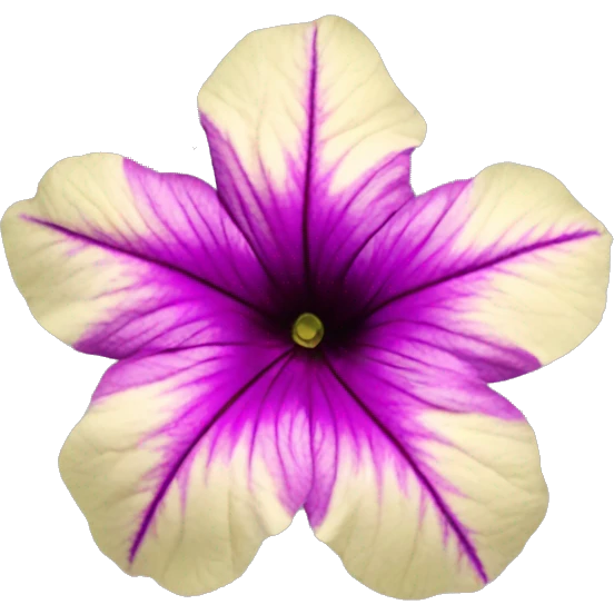 petunia mexicana flower emoji