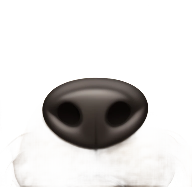 Dog with one black spot over eye and ear emoji