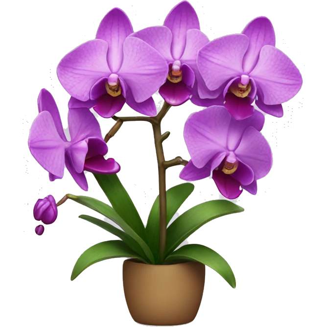 orchid emoji