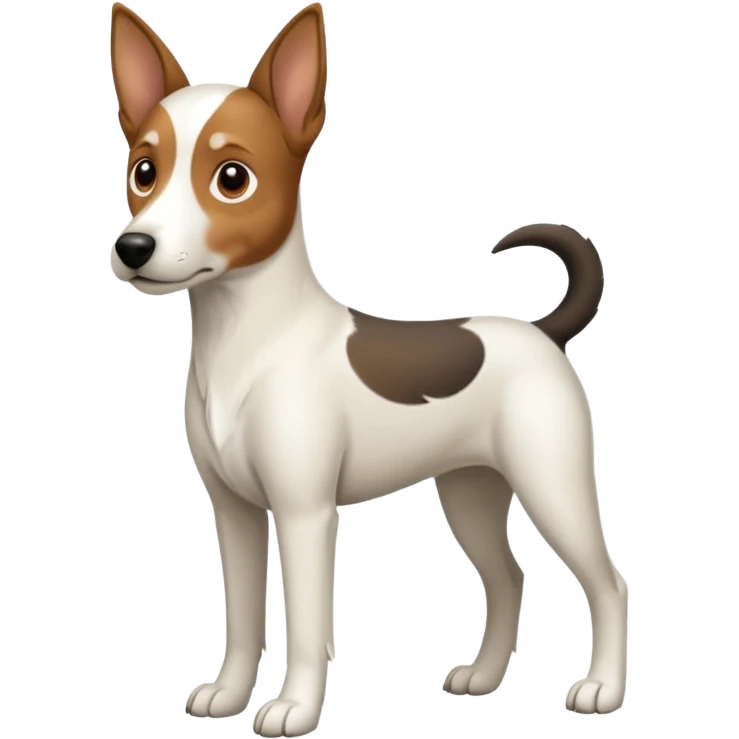 a full body large white floppy eared parson russell looking dog the size of a kelpie with light brown ears and a light brown patch on one eye and a large snout emoji