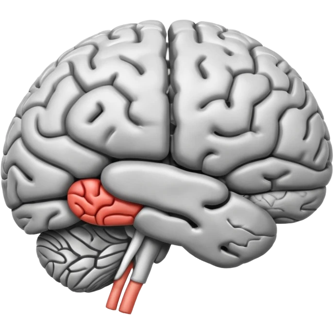 Brain anatomy  emoji